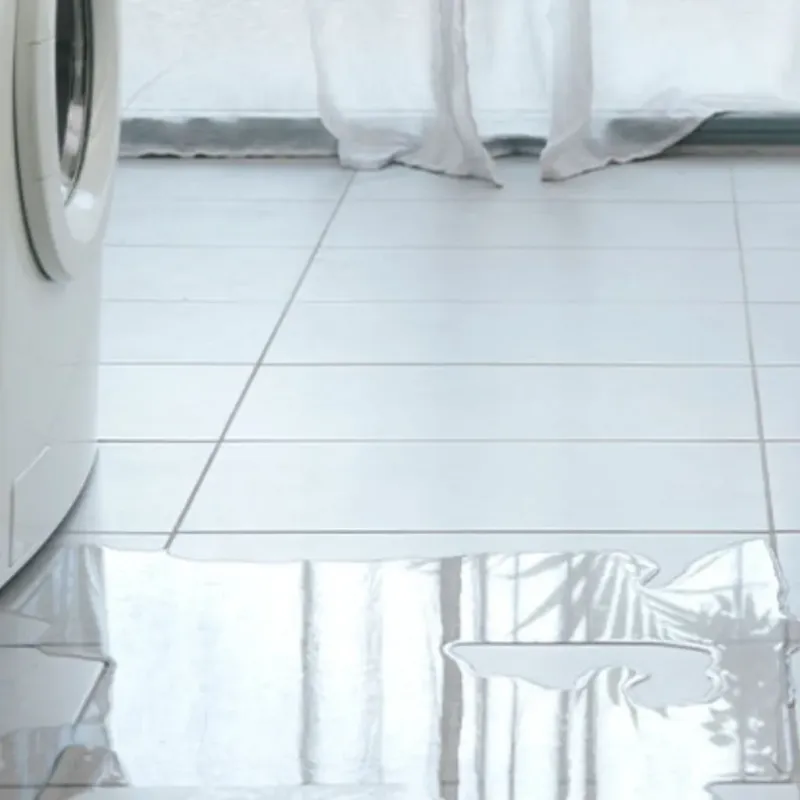 Appliance Leak Cleanup in Sheridan County, MT