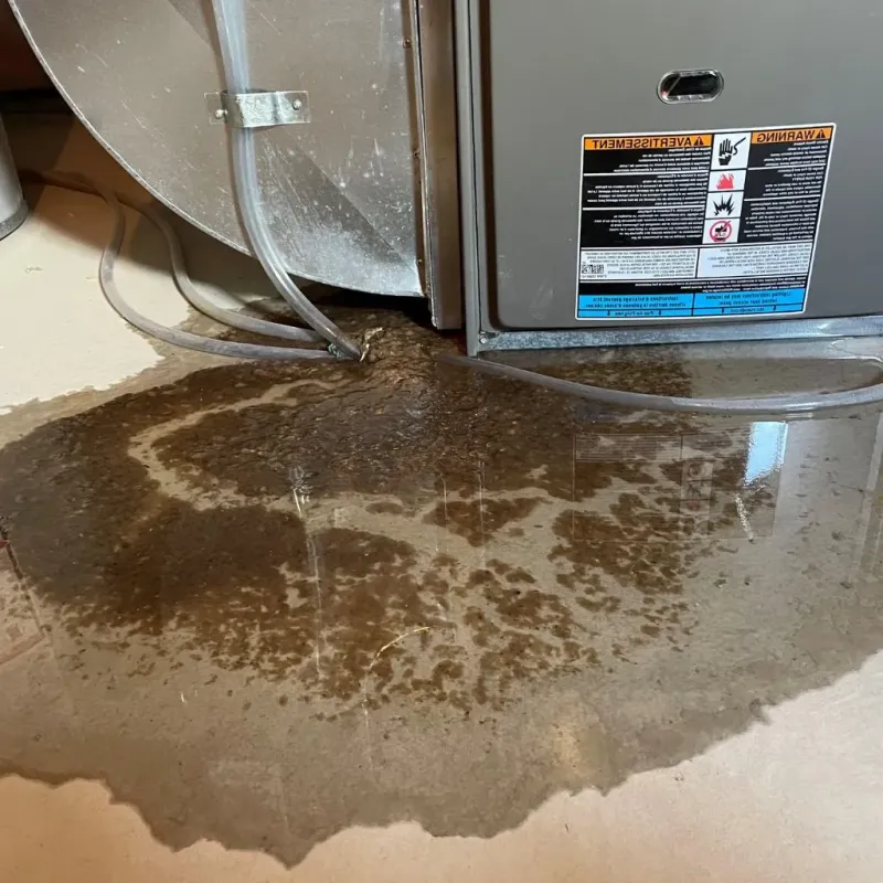 Pipe Burst and Leak Restoration in Sheridan County, MT